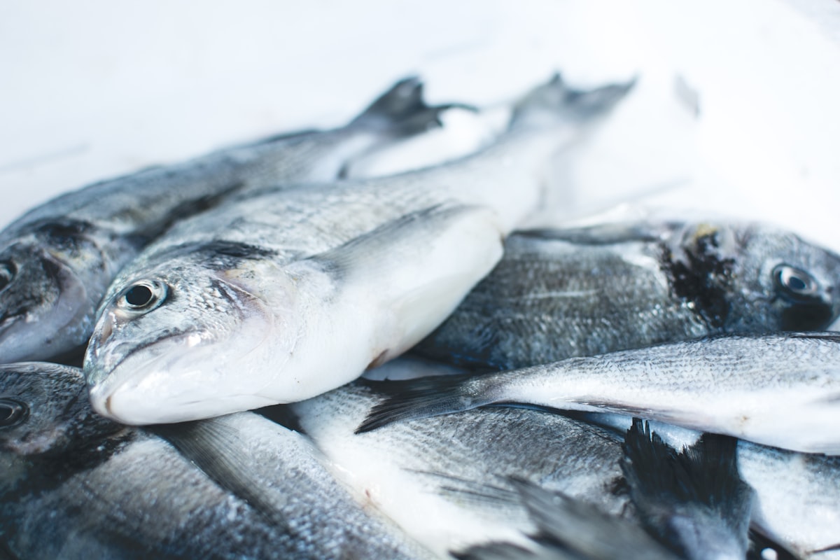 Bream Fish (Whole)