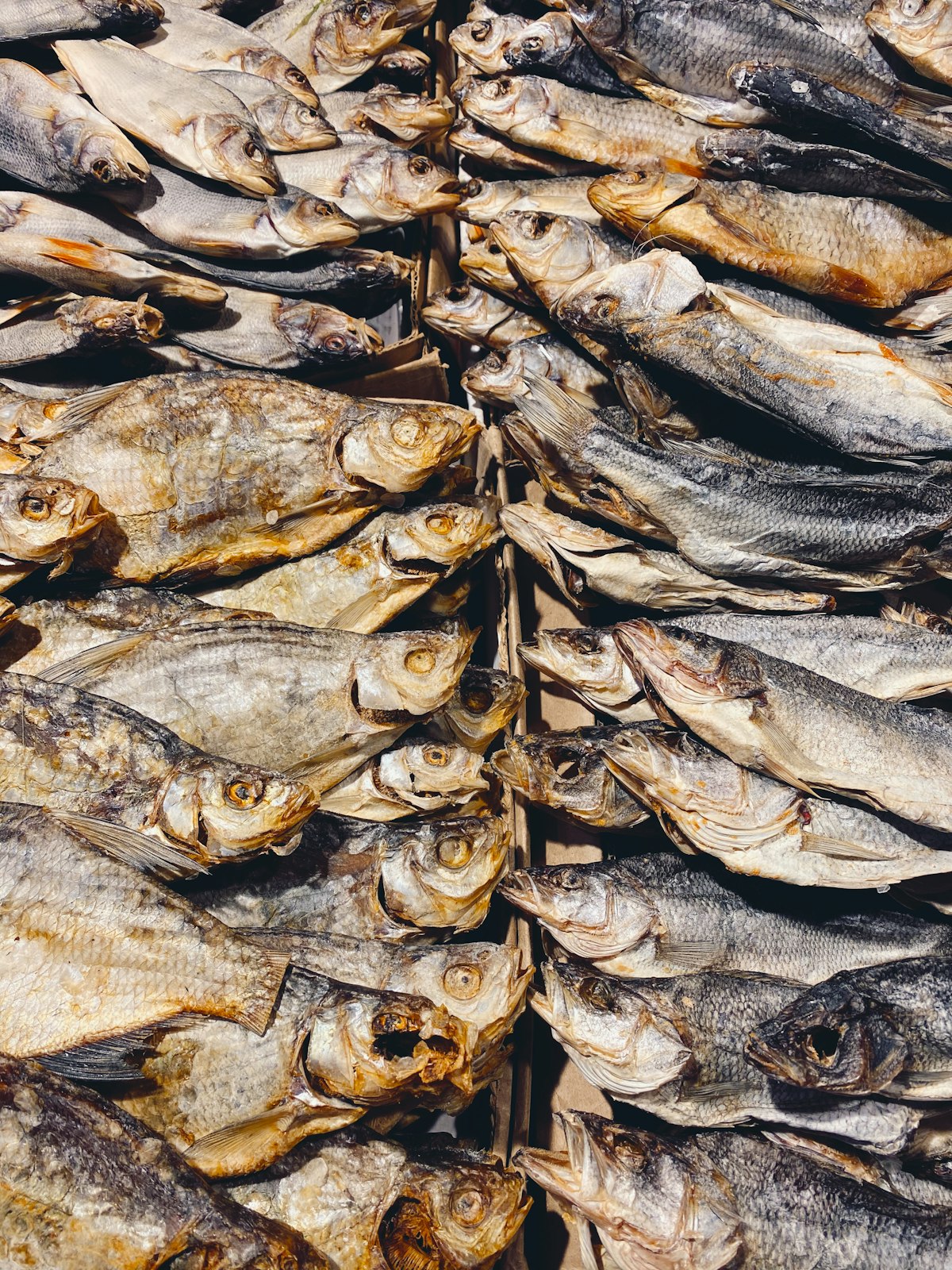 Kapenta (Dried)